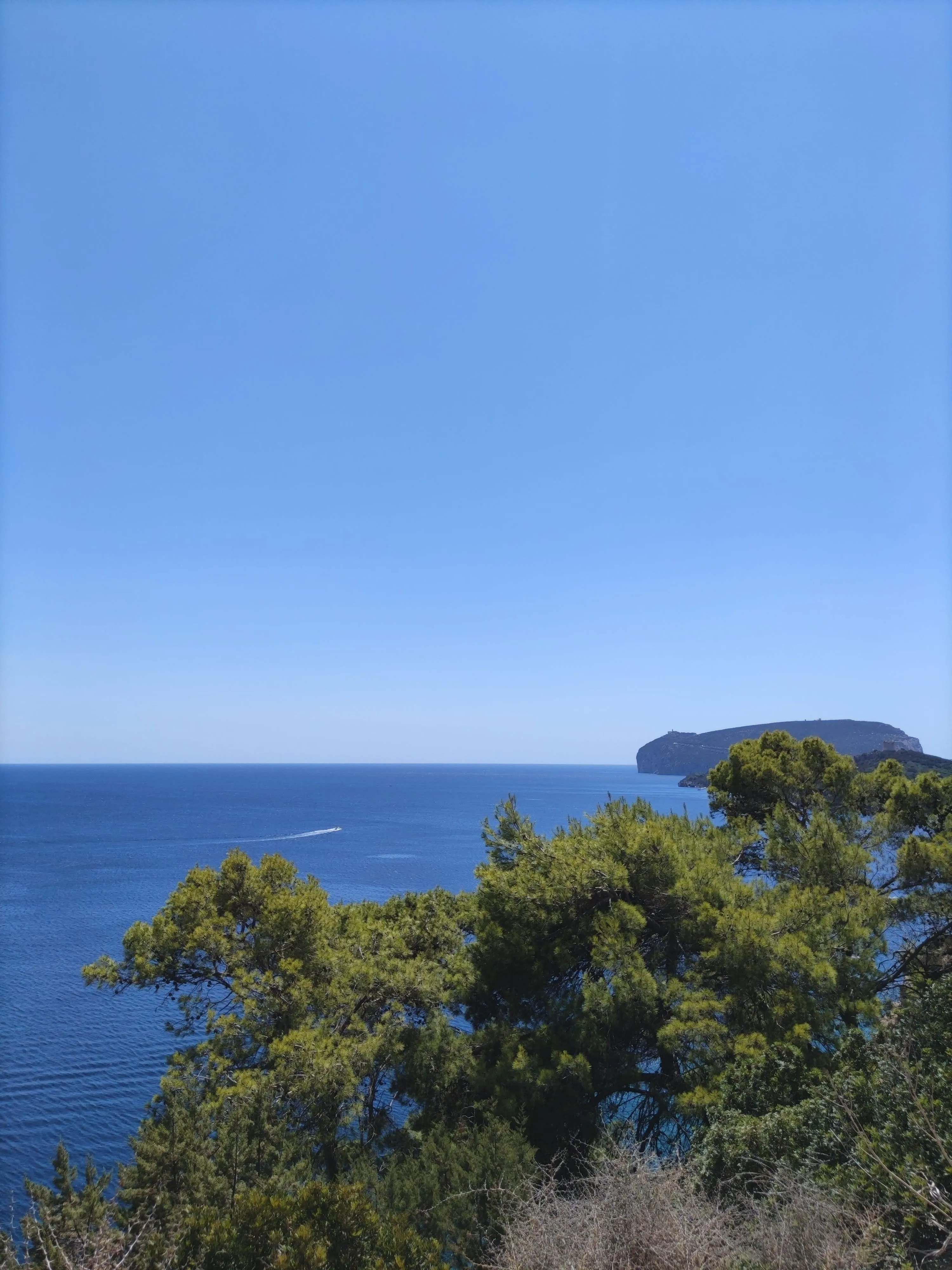 Capo Caccia Capo Caccia