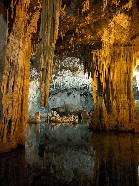 Grotte di Nettuno Grotte di Nettuno