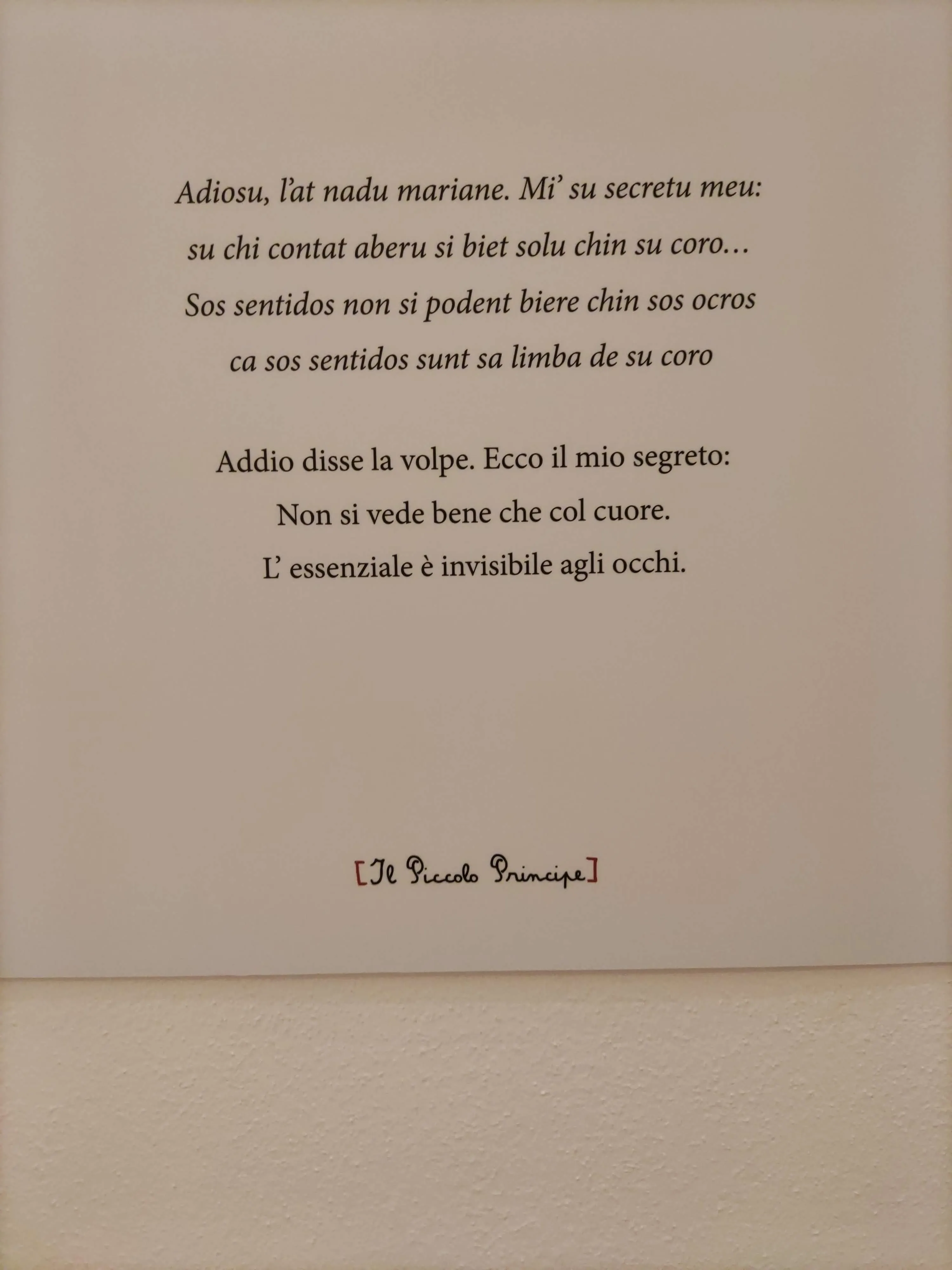Testo Il Piccolo Principe Test Il Piccolo Principe